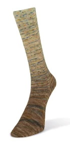 14 Paint Gradient Sock NY