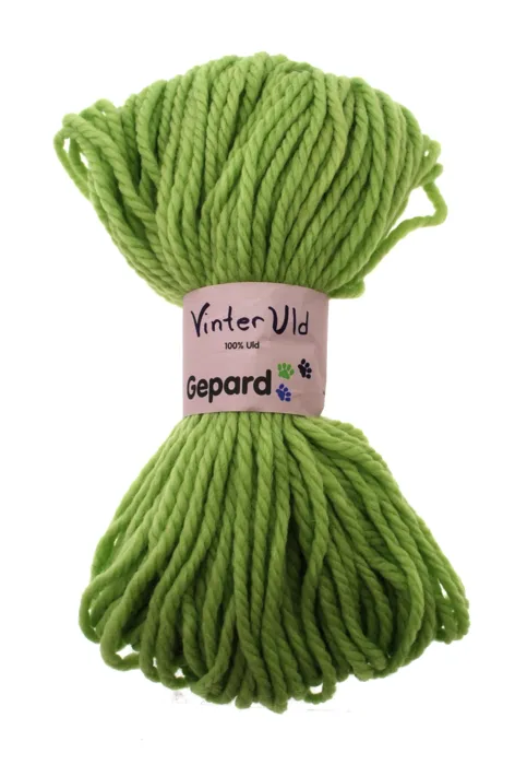 Gepard Vinteruld