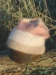 TRS Frost hue