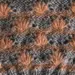 GEPARD Laine Waterlily Cardigan D
